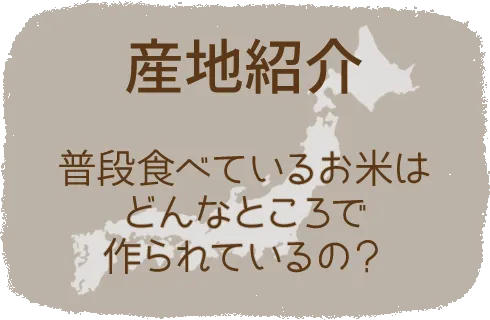 産地紹介