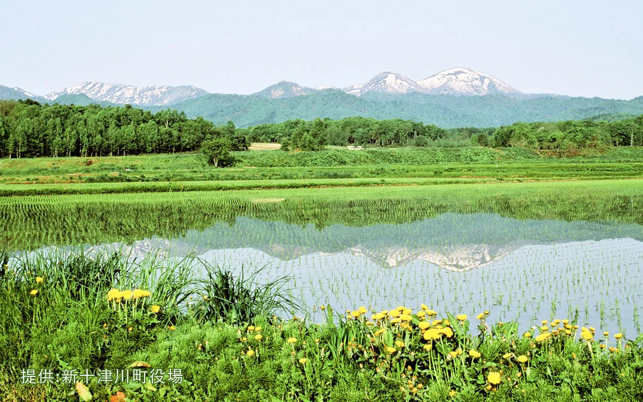浦臼町圃場